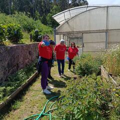 Galeria - Imagem 4 da Utentes fazem voluntariado em diversas �reas