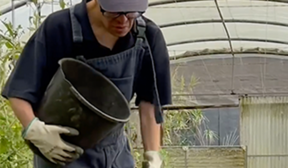 Atividades na ALADI: �Jardinagem�