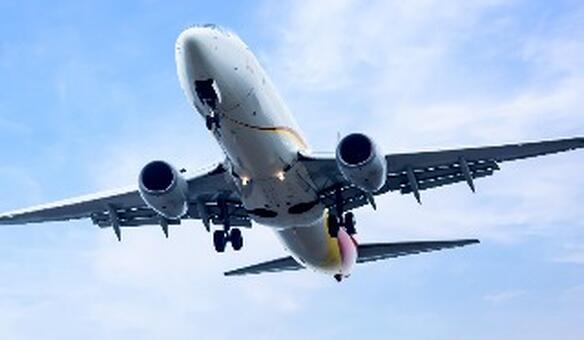 Vai viajar de avi�o? Acompanhantes de pessoas com defici�ncia v�o deixar de pagar bilhete