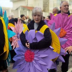 Galeria - Imagem 12 da ALADI leva �flores� at� ao Desfile de Carnaval